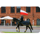 FLAGA POLSKA - Bandera 150x92cm zgodna z ustawą